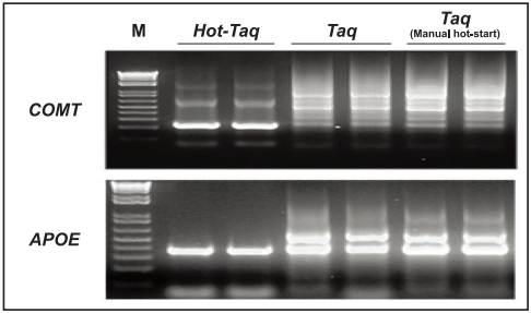 data_Hot-Taq-1_20250918.png data_Hot-Taq-1_20250918.png