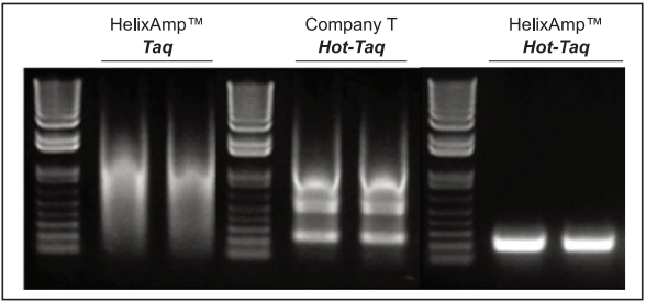 data_Hot-Taq-2_20250918.png data_Hot-Taq-2_20250918.png