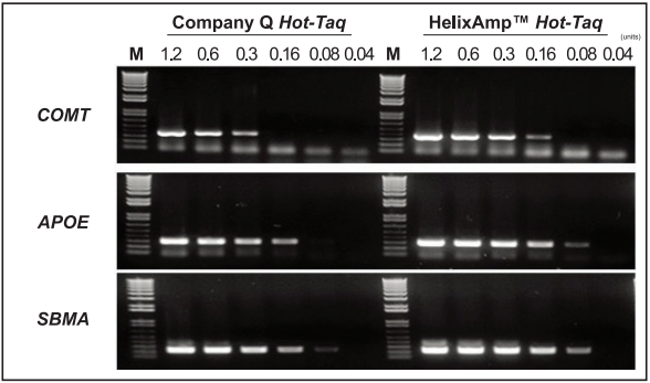 data_Hot-Taq-3_20250918.png data_Hot-Taq-3_20250918.png