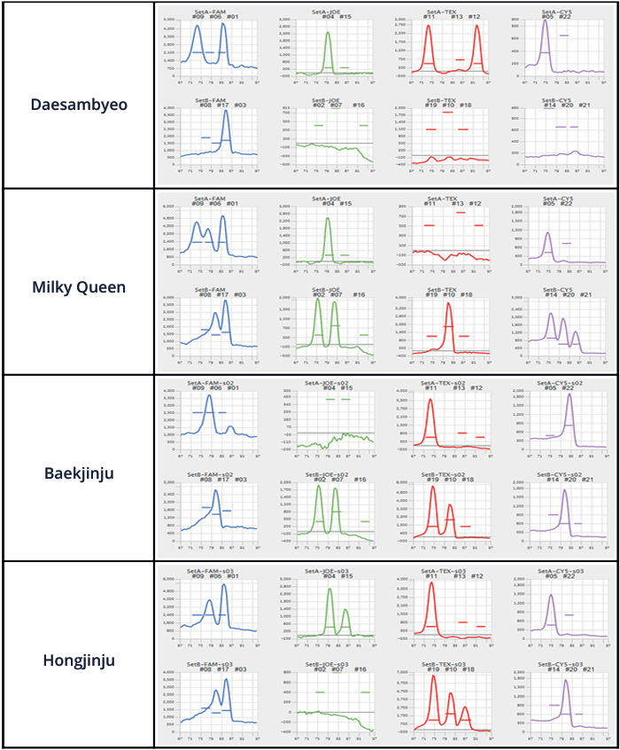 example of identification results (RFM-100)