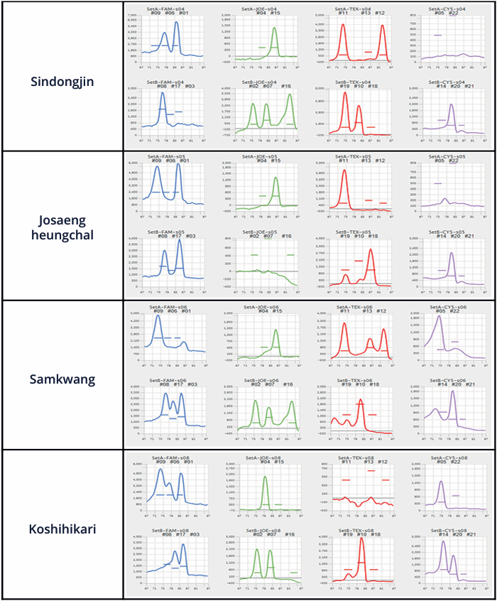 example of identification results (RFM-100)