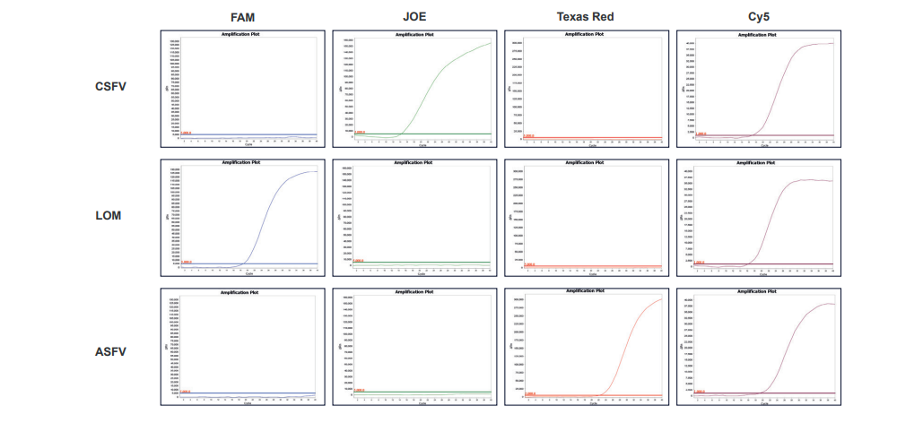 a multiplex real-time quantitative assay kit that simultaneously detects the virulent CSFV(Classical Swine Fever Virus) strains and their vaccine strain(LOM) as well as ASFV(African Swine Fever Virus)