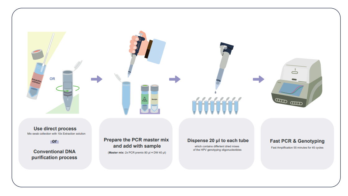 direct and fast detection and typing of human papillomavirus(HPV) DNA