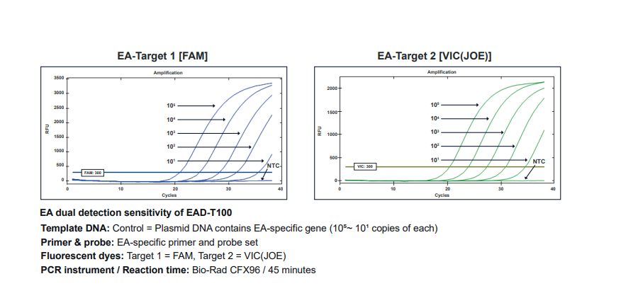 Data_EAD_Analytical Data_2