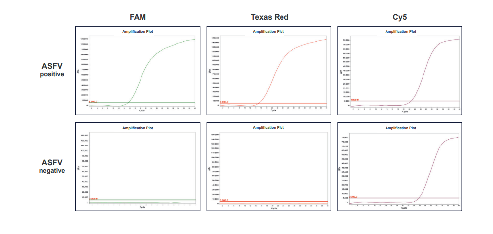 a multiplex real-time quantitative assay kit that specifically detects the ASFV(African Swine Fever Virus) DNA.