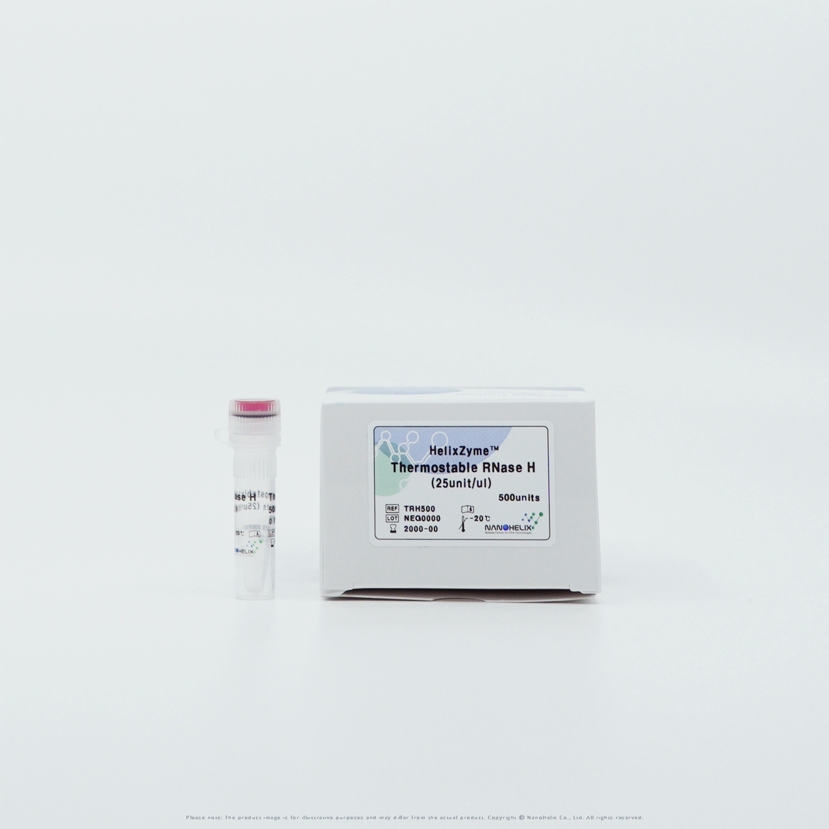 Thermostable_RNase_H